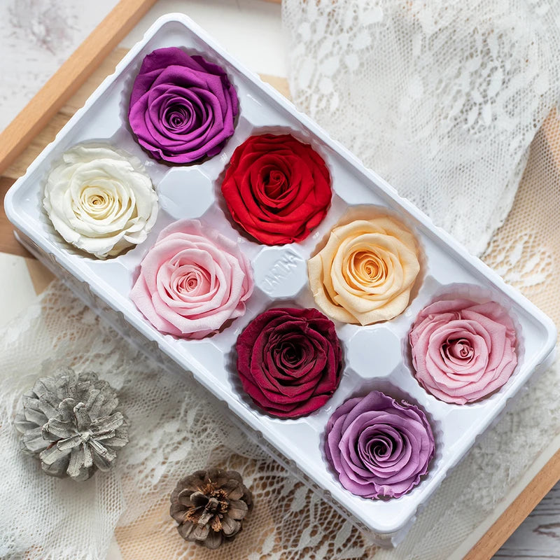 8PCs/Box Preserved Fresh Rose Flower Heads 4-5CM Dried Flower Roses for Teddy Bear Handmade DIY Eternal Flower Arrangement Gift