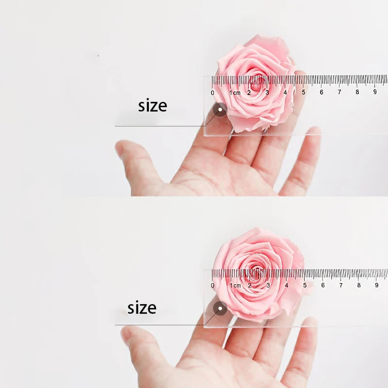 8PCs/Box Preserved Fresh Rose Flower Heads 4-5CM Dried Flower Roses for Teddy Bear Handmade DIY Eternal Flower Arrangement Gift