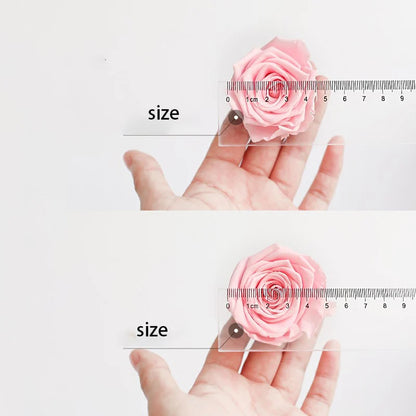 8PCs/Box Preserved Fresh Rose Flower Heads 4-5CM Dried Flower Roses for Teddy Bear Handmade DIY Eternal Flower Arrangement Gift